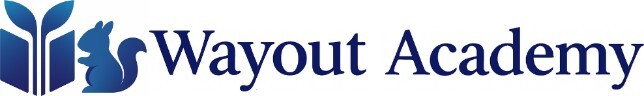 Wayout Academy|株式会社Wayout(経営コンサルティングファーム)
